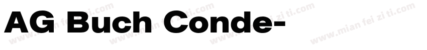 AG Buch Conde字体转换